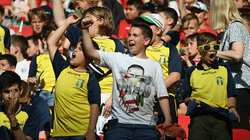 hungary-fans.gif