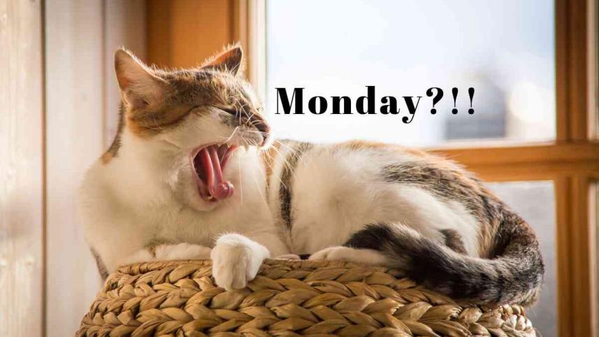 Monday blues