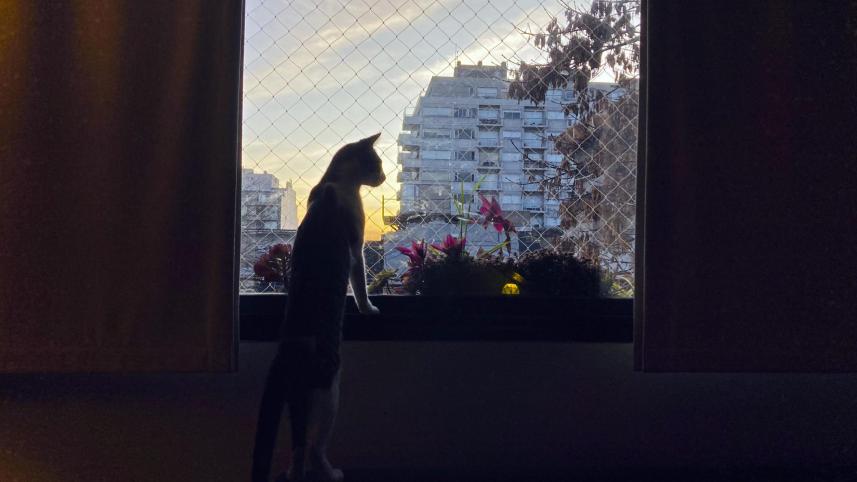 15 years of iPhone: Evolution in photography