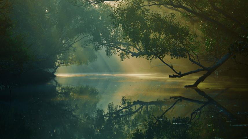 Sundarbans