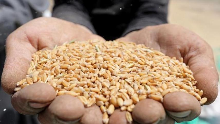 India resumes wheat export