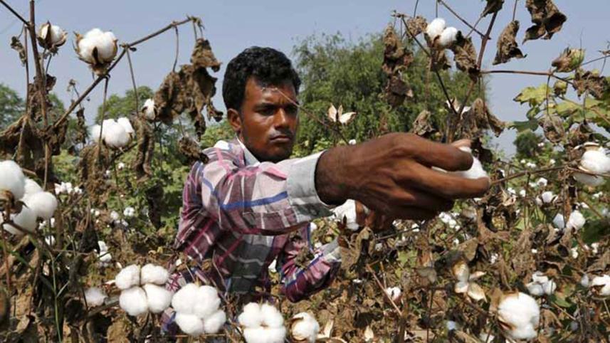 Cotton use likely to remain unchanged