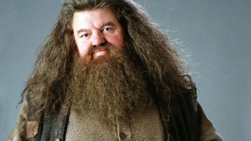 hagrid.jpg