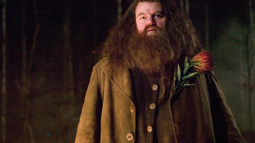 221014-robbie-coltrane-hagrid-harry-potter-mjf-1317-094a19.jpg