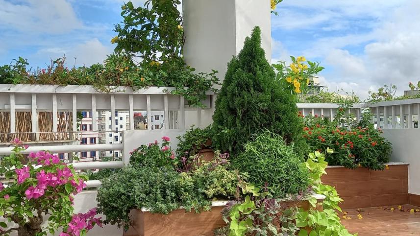 Green Me: Welcoming greenery and sustainability at your doorsteps