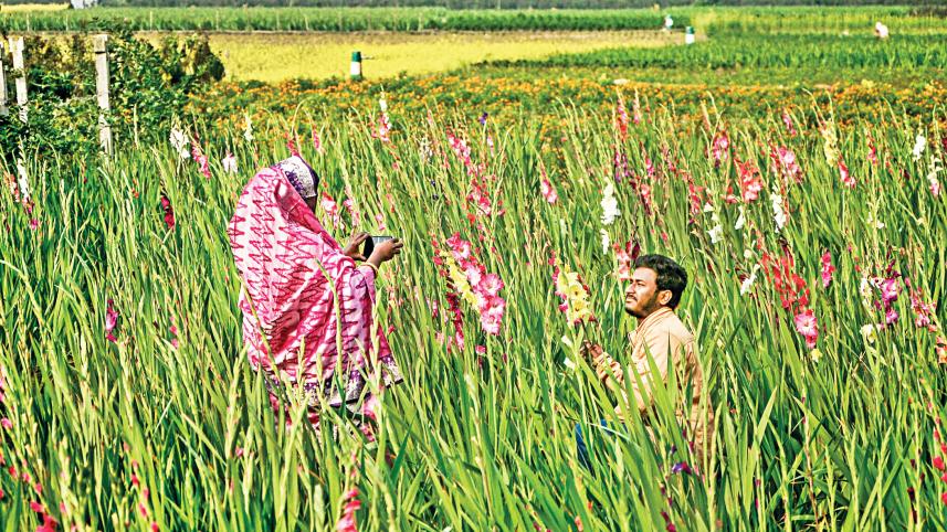 flower-farmers-in-gadkhali.jpg