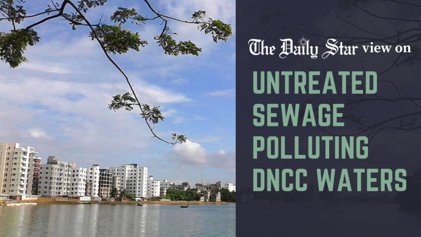 untreated sewage polluting dncc waters
