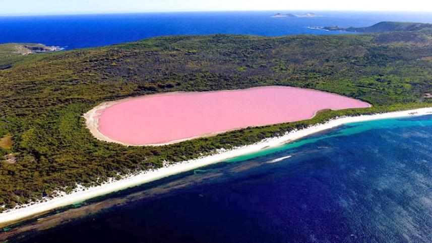 Lake Hillier, Australia 7 most beautiful lakes in the world