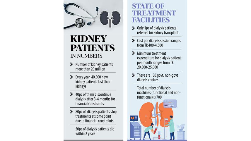 kidney-diseases-2.jpg