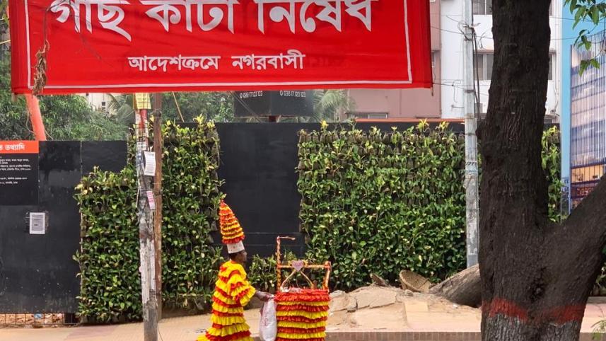 Environmental management in cities.jpeg