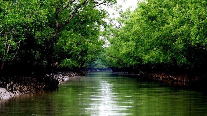 sundarban Top 5 boat tours in Bangladesh you should not miss