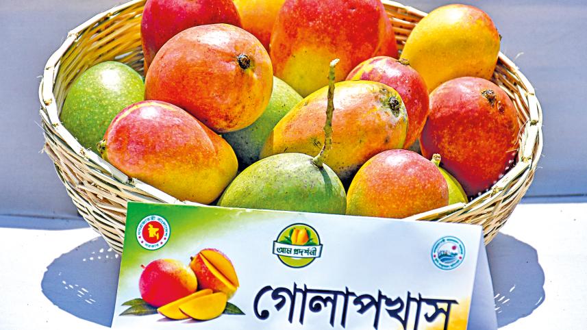 khulna_mango-2.jpg