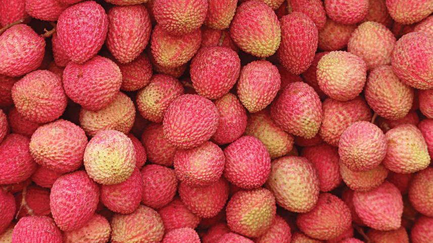 dinajpur_litchi.jpg