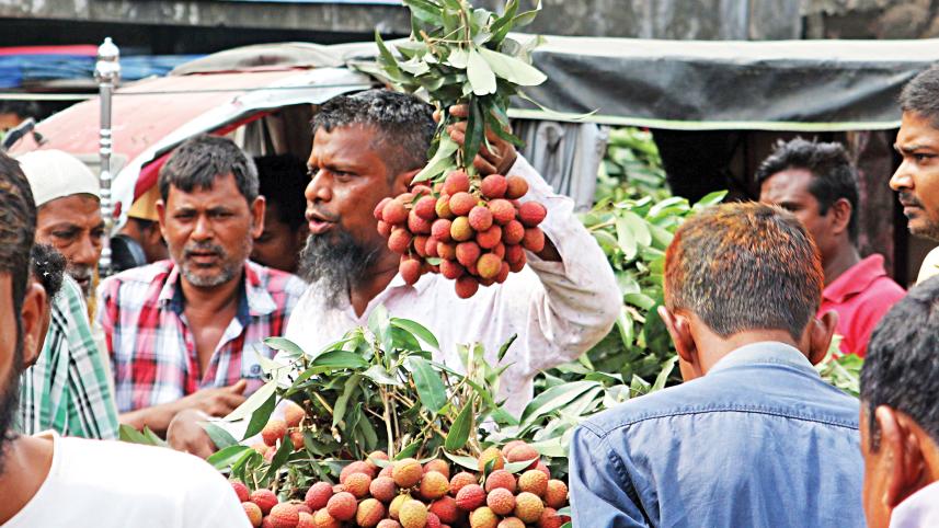 dinajpur_litchi0.jpg