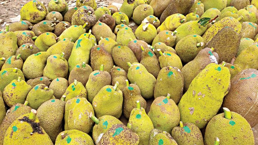 jackfruite.jpg