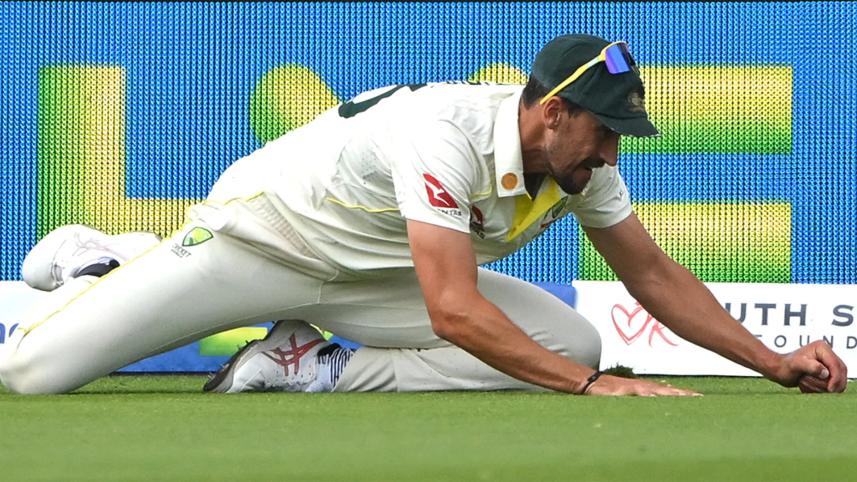 starc-catch.jpg