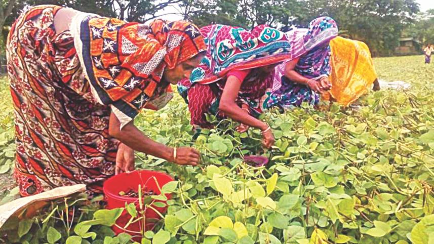 Women’s land rights.jpg