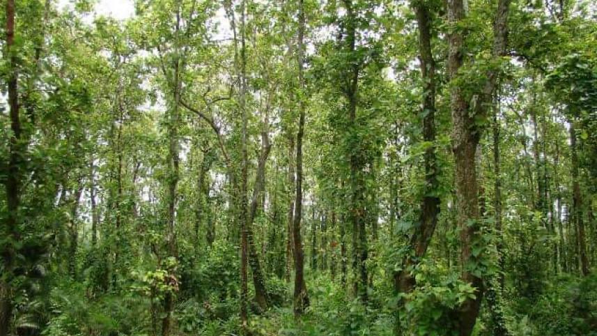 4 places to visit in Tangail