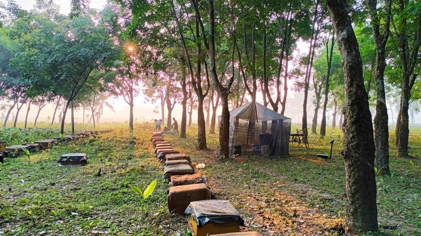 4 places to visit in Tangail