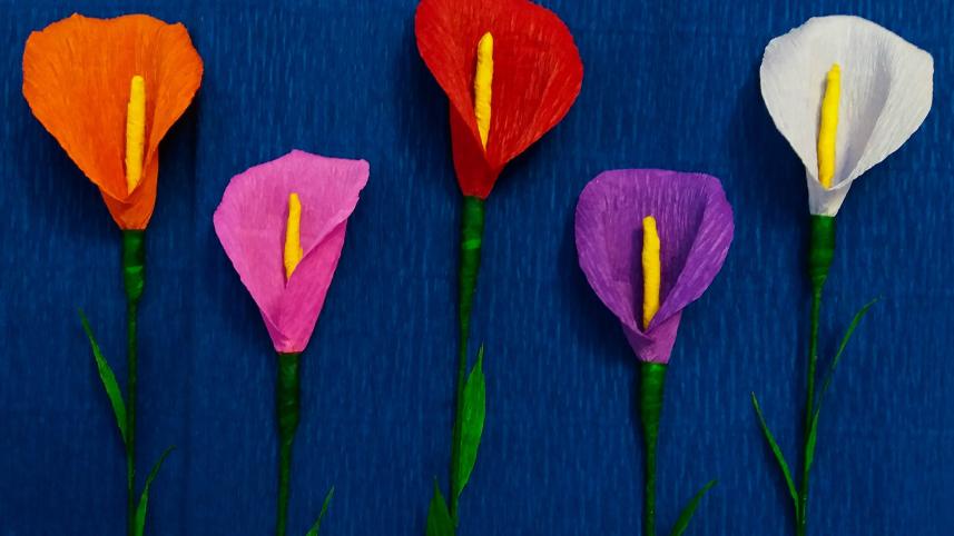 What's Real, really?