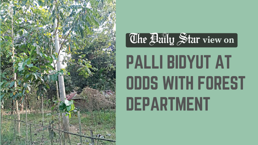 palli bidyut at odds with forest department