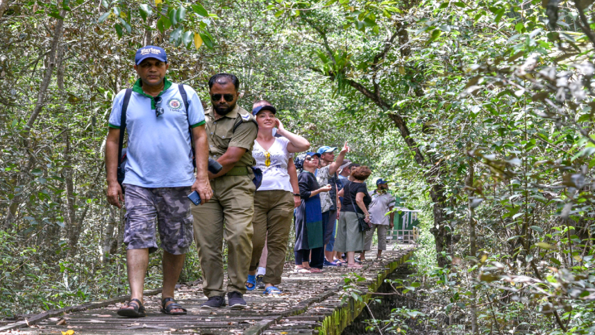 sundarbans_tourist.png
