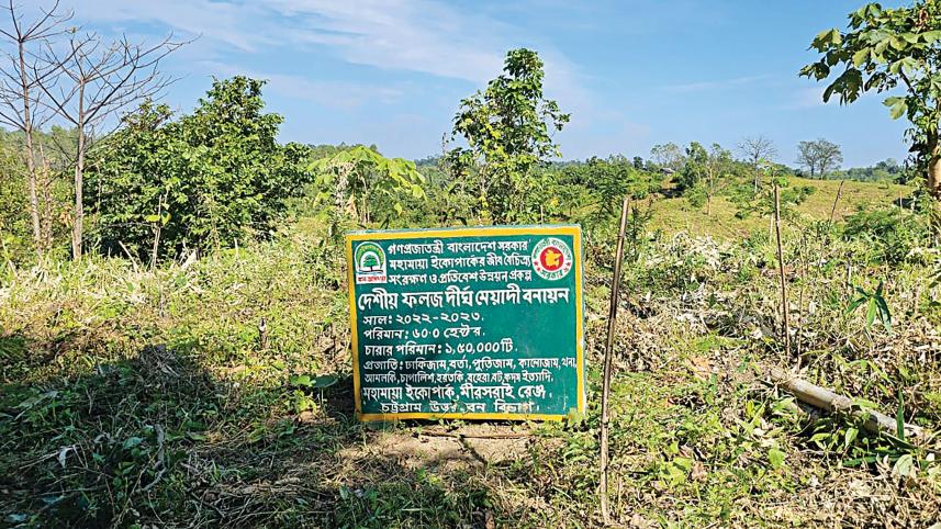 forest-department.jpg