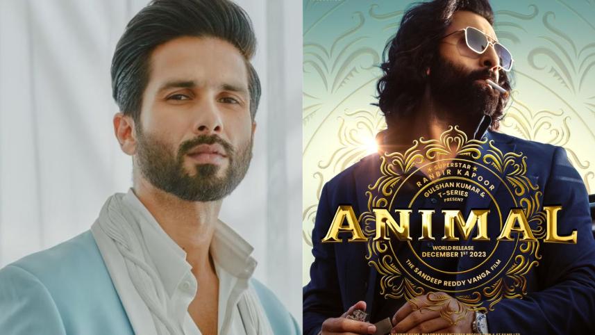shahid_kapoor_in_aminal_sequel.jpg
