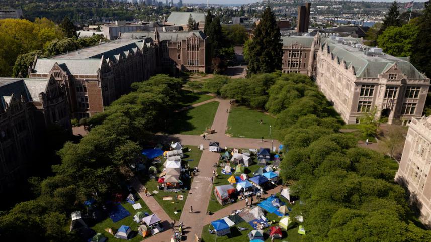 Pro-Palestine students' protest in the US