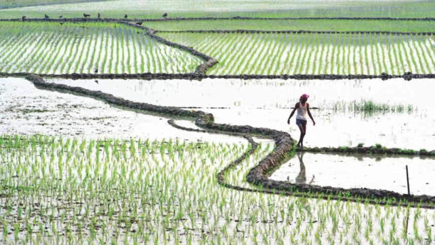 Agrarian question in bangladesh 