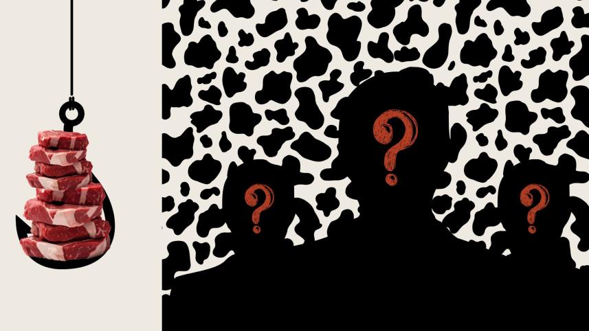 A monologue on the beasts among us