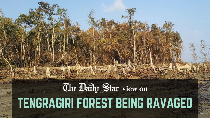 tengragiri forest being ravaged