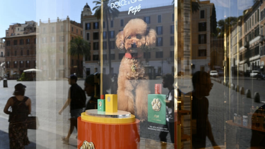 Dolce & Gabbana's Tk 11,500 dog perfume stirs debate