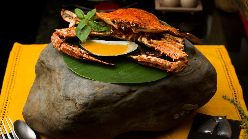 Catch of the day: Seafood recipes you will love