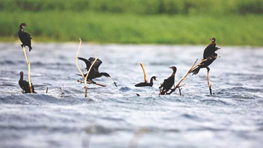 Biodiversity conservation requires more than just frameworks