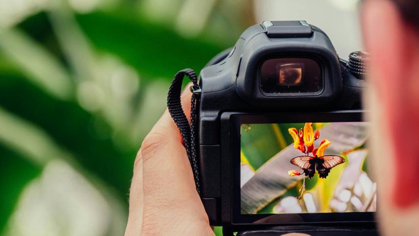Level up your photography skills—5 YouTube channels to follow now        jamie-street-qwyvqmijyfe-unsplash.jpg