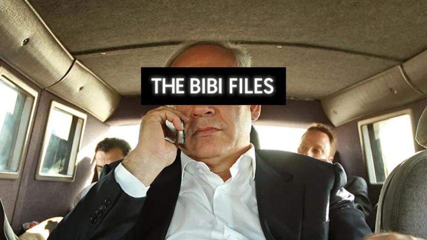 bibi_files.jpg