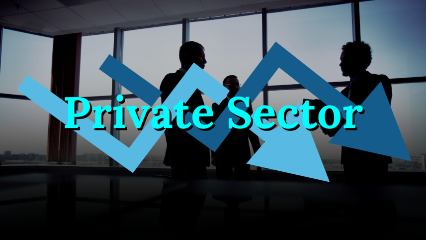 private_sector.png