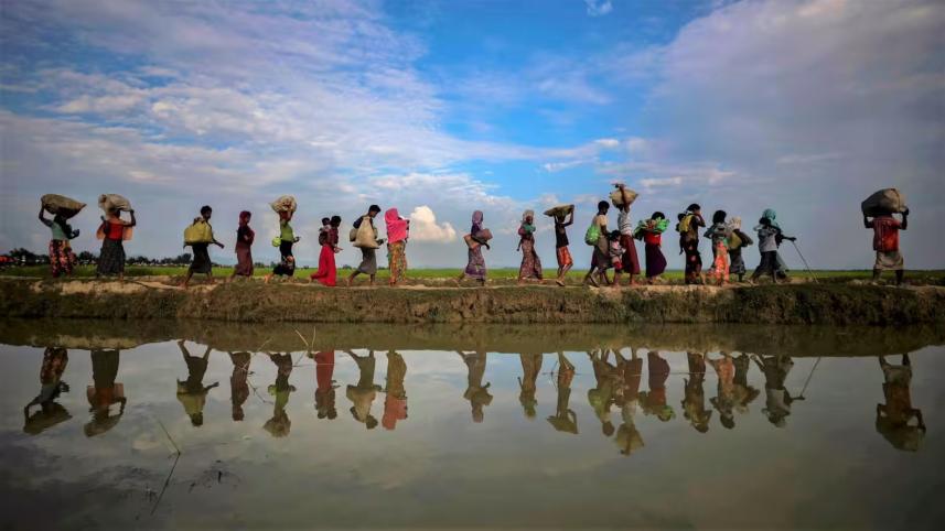 rohingya-migration