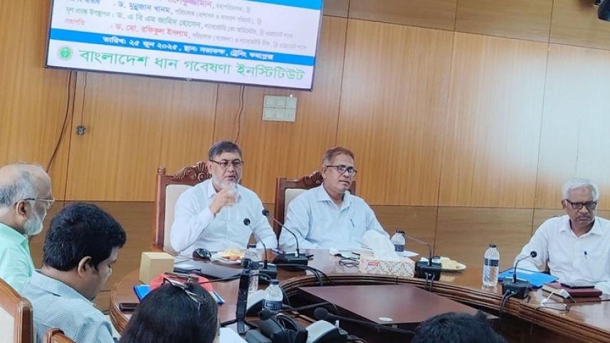 rice production in Bangladesh