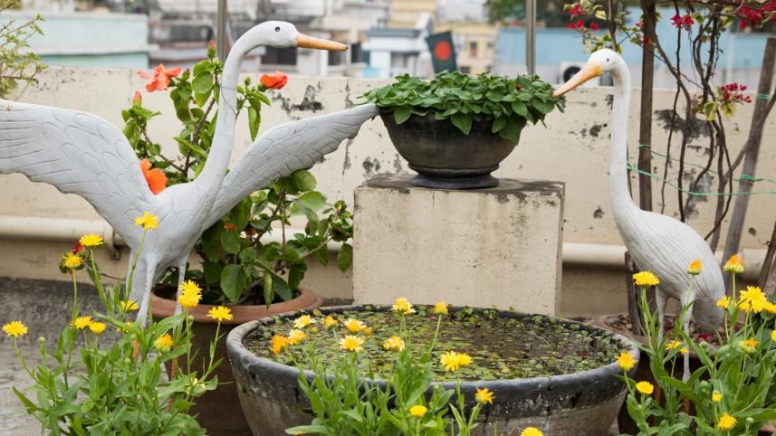 Jazz up your garden this summer with these simple tricks!