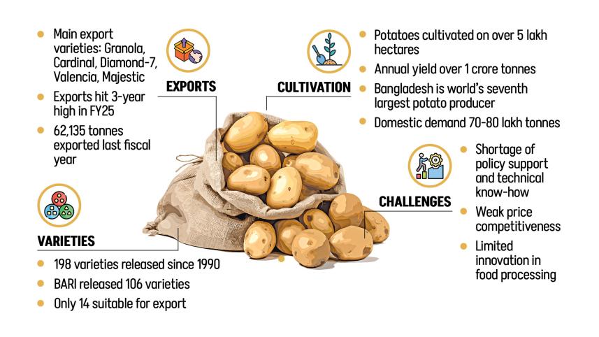 potato varieties developed in bangladesh
