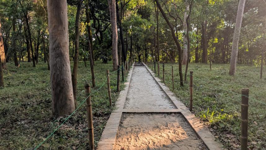 Inside National Botanical Garden’s new barefoot trail