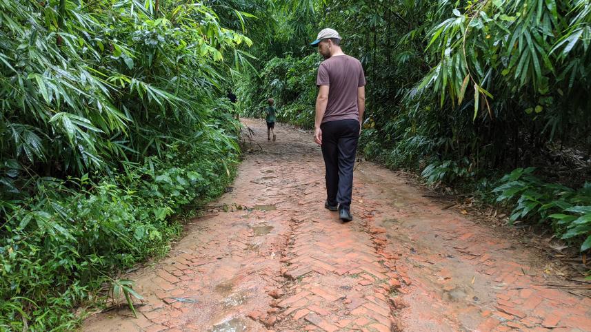 What Bangladesh’s forgotten trees tell us about nature’s fragility