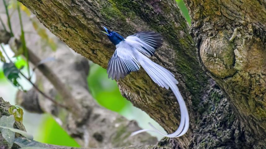 Natures Quest_1759.jpg