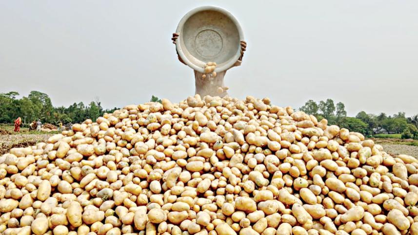 Kitchen market_23dd.jpg