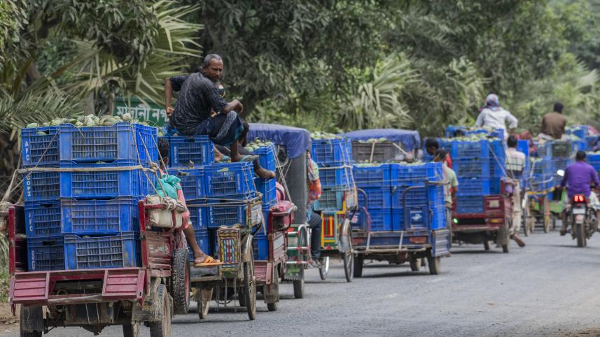 Story for Weekend ReadWR- Mostafa Shabuj-25.08.25_6108.jpg