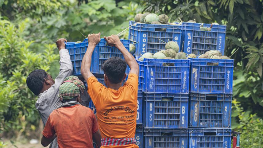 Story for Weekend ReadWR- Mostafa Shabuj-25.08.25_bb03.jpg