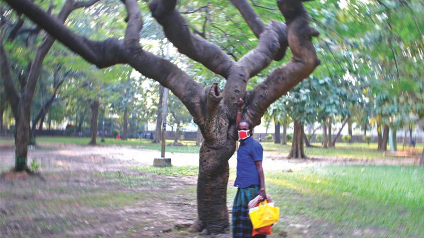 a_fight_to_the_death