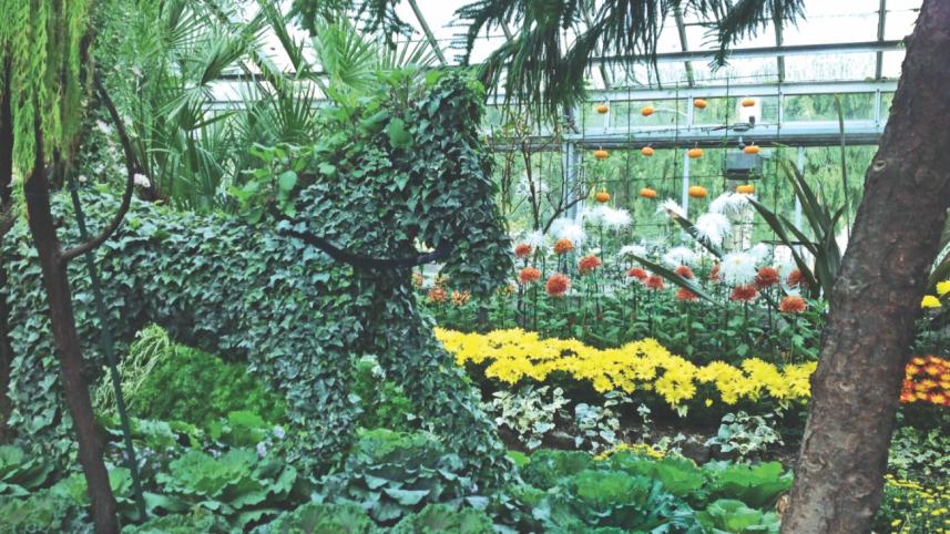 Allan Garden Conservatory